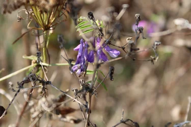 Changement des saisons