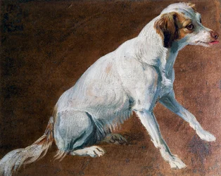 Ancêtre du Spaniel français, par Alexandre-François Desportes (1661-1743), France