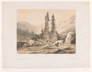 Paysage montagneux avec sapins et chèvres