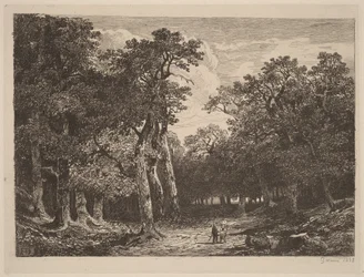 Couple dans une clairière