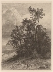 Bosquet d