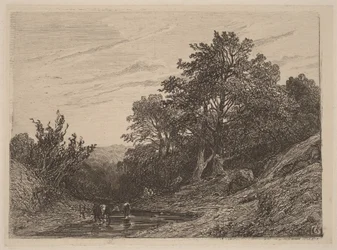 Troupeau dans un ruisseau