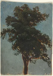 Étude d