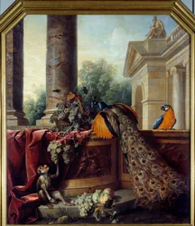Nature morte au paon, à un perroquet, à un singe et à des grappes de raisin. XVIIIe siècle. 2,05 x 1,8 m, Lyon, musée des Beaux-Arts