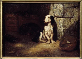 Basset noir et blanc dans la niche. À côté, une gamelle remplie d