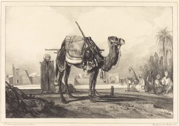 Chameau et Arabes