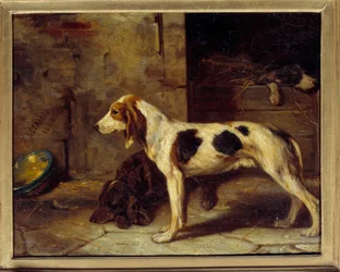 Chiens Brifauts