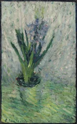 Jacinthe