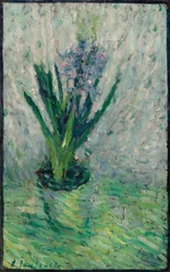 Hyacinthe