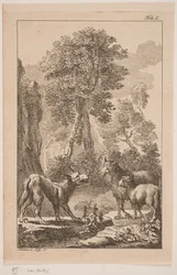 Le loup, le mouton et l