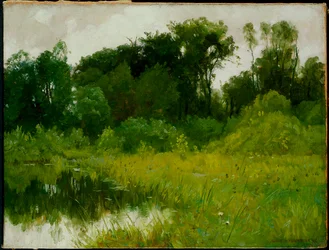 Après la pluie, sur Minnehaha Creek