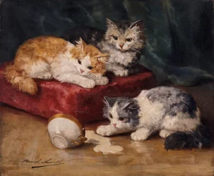 Les chats