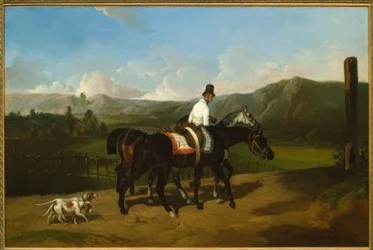 Promenade des chevaux