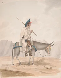 Grand Canari - Homme sur un âne