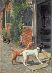 Hésitation