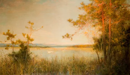 Reedy Mere et collines ensoleillées