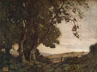 Le Frêne penché, vers 1910