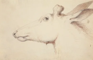 Élan. vers 1837