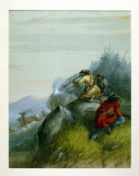 Chasse au wapiti dans les Black Hills
