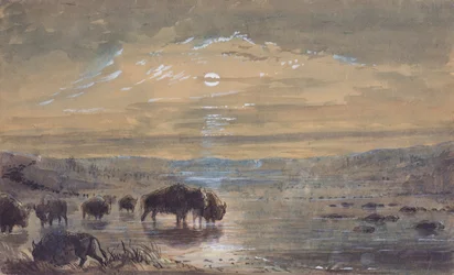 Scène nocturne, bisons dans la prairie, c.1837