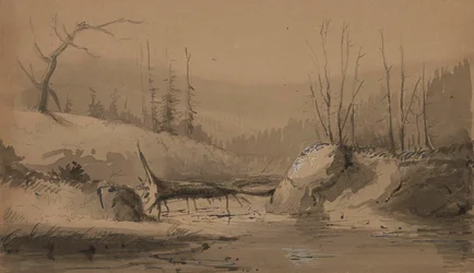 Ruisseau avec un arbre tombé