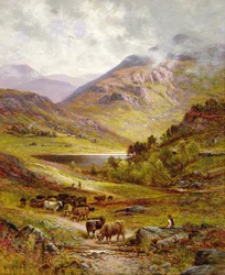 Bétail à longues cornes dans un paysage montagneux