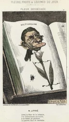 Fleur desséchée: Caricature de Littré - ill. du 01/02/1871 dans "Fleurs, Fruits et Légumes du Jour"