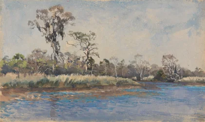 Un ruisseau à Wilmington, N.C.