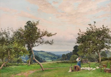 Le parc à canards