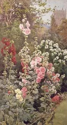 Le Jardin