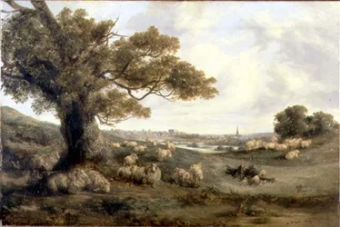 Vue de Norwich