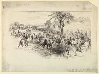 Le Raid de bétail par la cavalerie confédérée