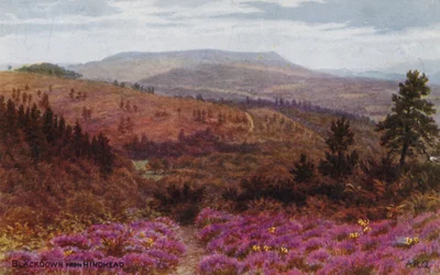 Blackdown depuis Hindhead
