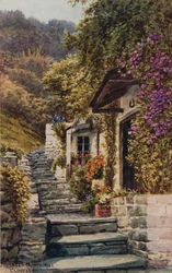 Cottages, North Hill, Clovelly
