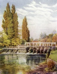 Pièges à anguilles à Hedsor