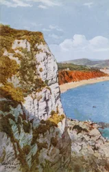 Falaise blanche, Seaton