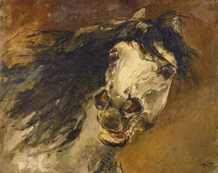 Étude de tête de cheval