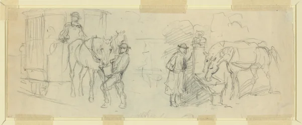 Nourrir et reposer les chevaux