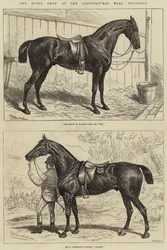 Le Salon du Cheval à l