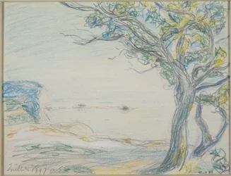 Arbres au bord de la mer