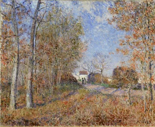 Route à la lisière de la forêt