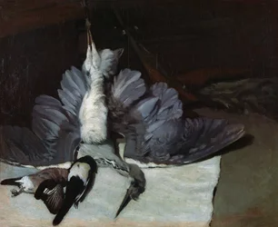 Nature morte : Héron aux ailes déployées