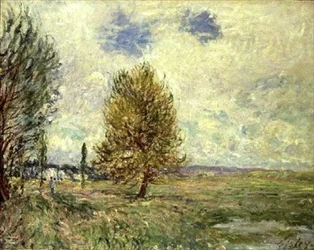 La plaine à Veneux-Nadon