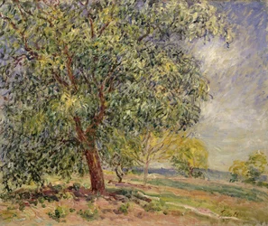 Noyer aux Sablons, printemps, 1885