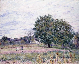 Noyers, Effet du coucher du soleil - Premier jour d