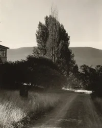 Maison et peupliers, lac George