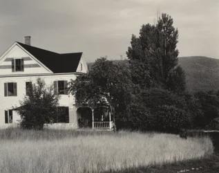 Maison et arbres, Lake George