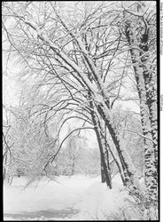 Paysage enneigé, Berlin