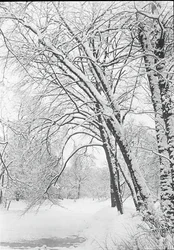 Paysage enneigé, Berlin
