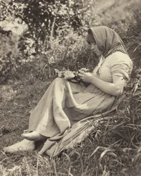 Effet de la lumière du soleil